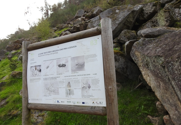 Ecosystem services project in the Magic Mountains forest, Portugal
